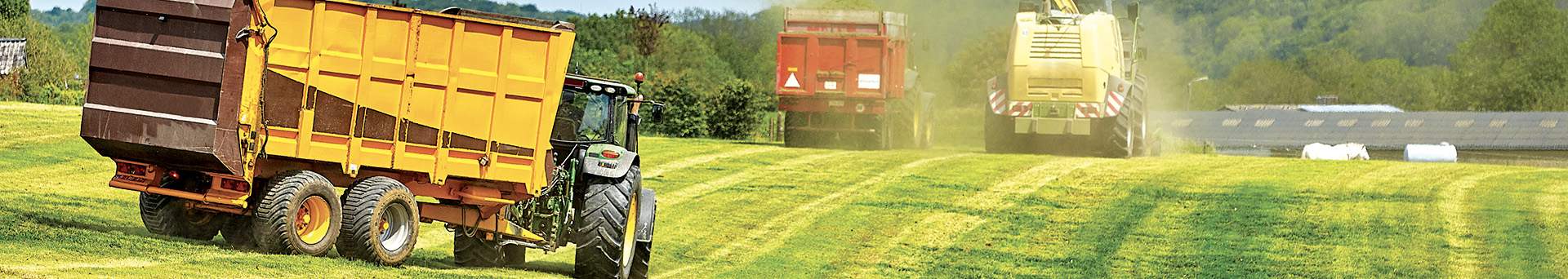 Mark der bliver høstet